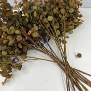 27.5 Inch Artificial Silk Eucalyptus Leaves Branches 10 Pcs Bulk Floral Arrangement