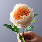 1 Branch 17 Fake Austin Rose Flowers - Artificialmerch