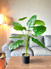 28 Inch Artificial Elephant Leaf Plant Tree with Black Pot, Large Faux Indoor Outdoor Decor, Bulk Quantity