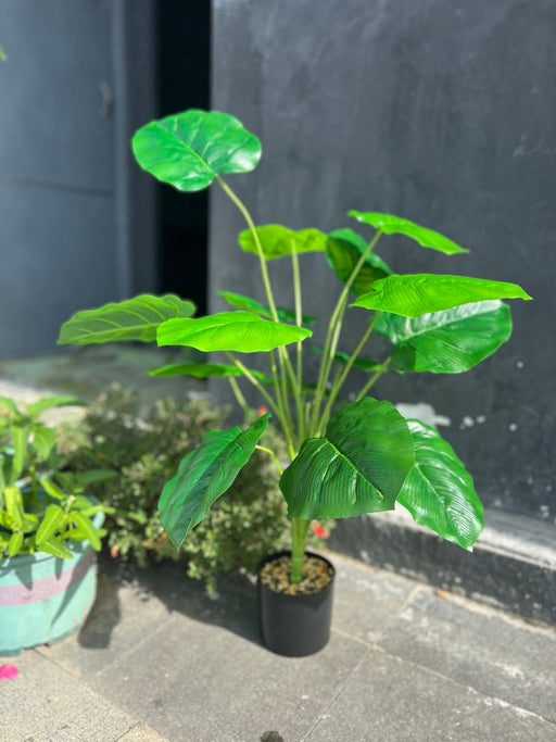 28 Inch Artificial Elephant Leaf Plant Tree with Black Pot, Large Faux Indoor Outdoor Decor, Bulk Quantity