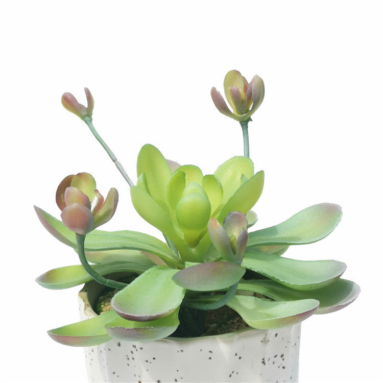 10 Pcs Mini Artificial Succulent Plants in Small Pots, Green Faux Succulents for Home Decor