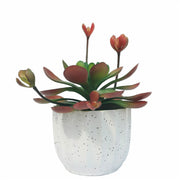 10 Pcs Mini Artificial Succulent Plants in Small Pots, Green Faux Succulents for Home Decor