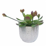 10 Pcs Mini Artificial Succulent Plants in Small Pots, Green Faux Succulents for Home Decor