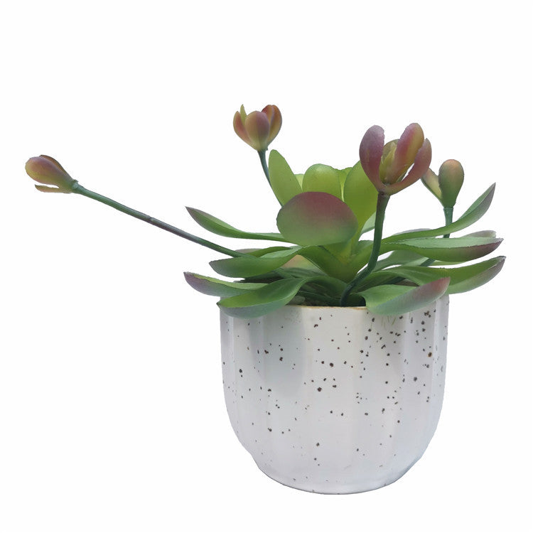 10 Pcs Mini Artificial Succulent Plants in Small Pots, Green Faux Succulents for Home Decor