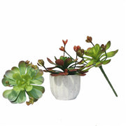 10 Pcs Mini Artificial Succulent Plants in Small Pots, Green Faux Succulents for Home Decor