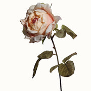 26 Inch Quicksand Silk Roses Stems, 10 Pcs Bulk Fall Artificial Flowers