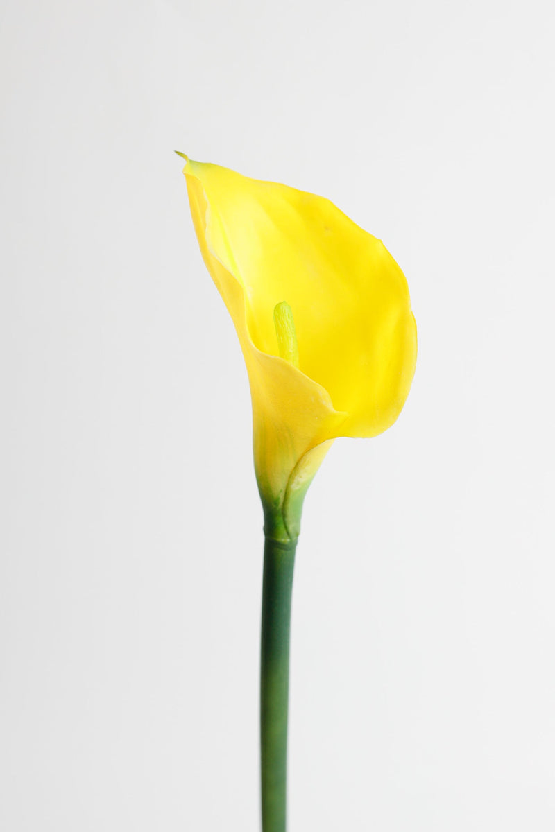 Real Touch Calla Lily Stem, Artificial Silk Flower, 12 Inch, Single Stem