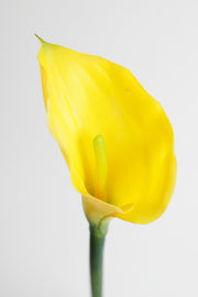 Real Touch Calla Lily Stem, Artificial Silk Flower, 12 Inch, Single Stem