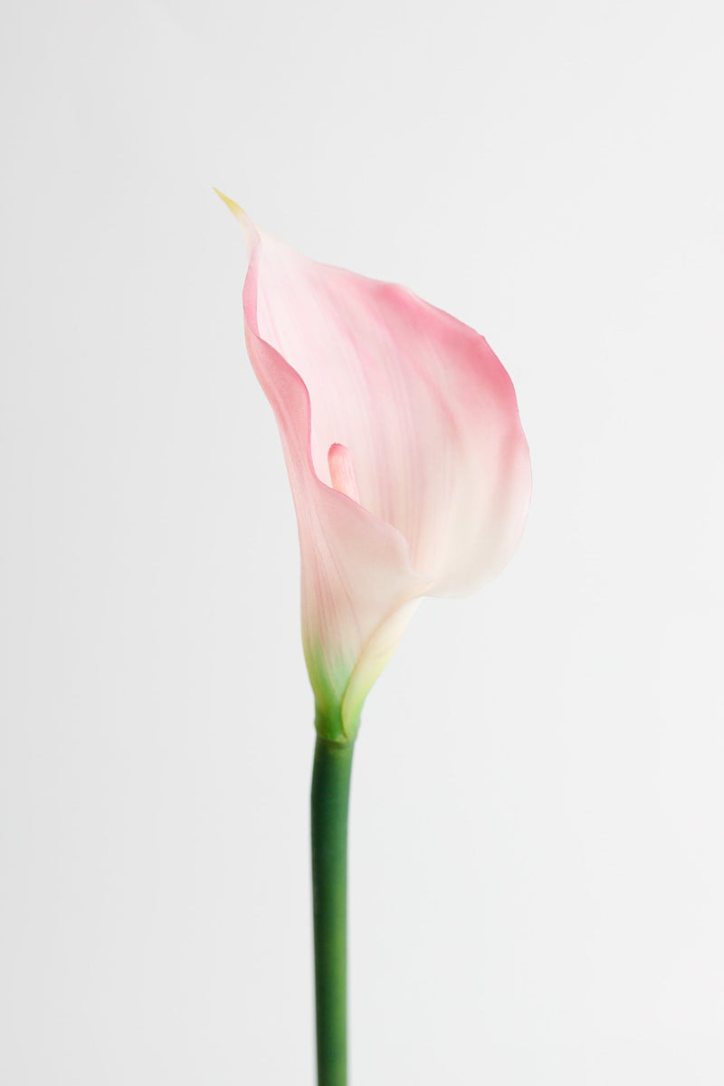 Real Touch Calla Lily Stem, Artificial Silk Flower, 12 Inch, Single Stem
