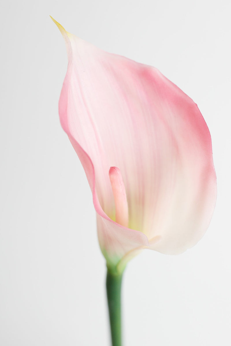 Real Touch Calla Lily Stem, Artificial Silk Flower, 12 Inch, Single Stem