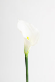 Real Touch Calla Lily Stem, Artificial Silk Flower, 12 Inch, Single Stem