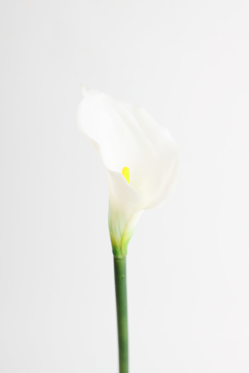 Real Touch Calla Lily Stem, Artificial Silk Flower, 12 Inch, Single Stem