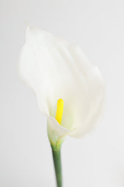 Real Touch Calla Lily Stem, Artificial Silk Flower, 12 Inch, Single Stem