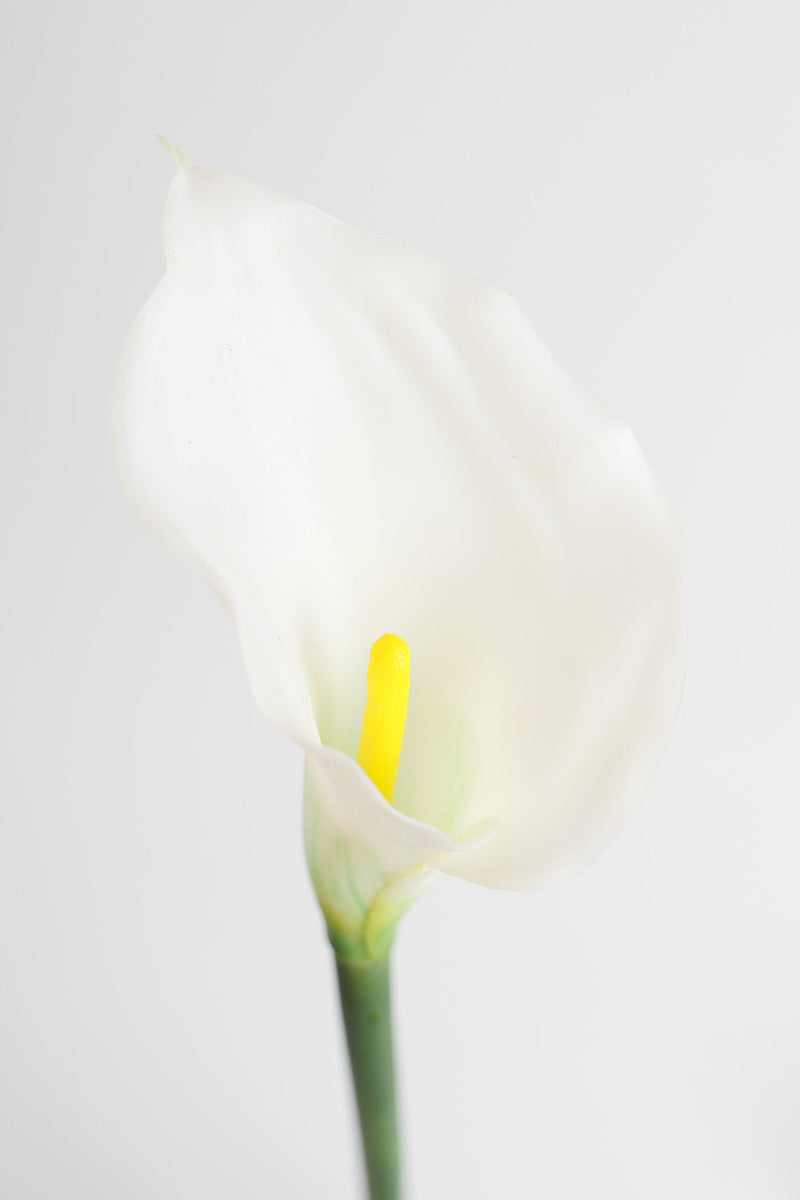 Real Touch Calla Lily Stem, Artificial Silk Flower, 12 Inch, Single Stem