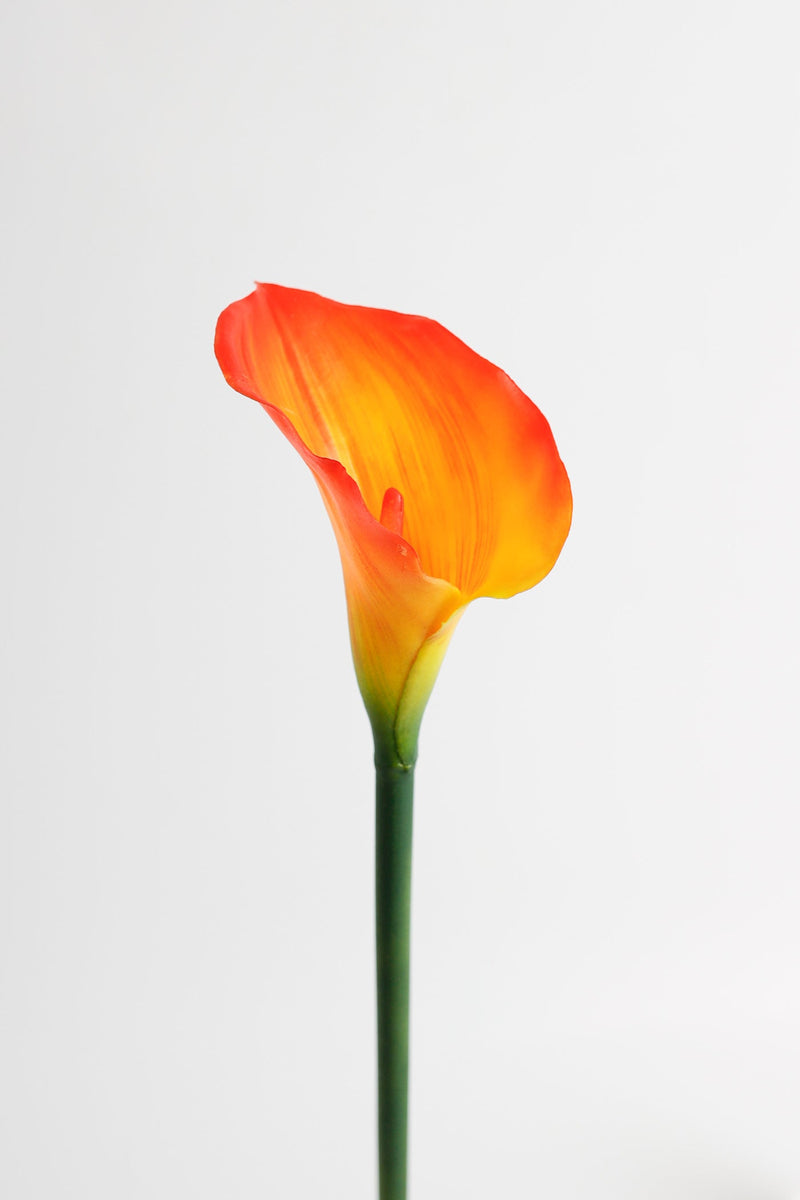 Real Touch Calla Lily Stem, Artificial Silk Flower, 12 Inch, Single Stem