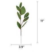 Faux Eucalyptus Long Leaf Plant Stem, Artificial Silk Green Foliage, 12 Inch, 10 Pcs