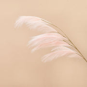 43 Inch Extra Large Faux Pampas Grass Stem Bulk Wholesale Artificial Flower