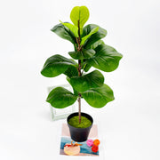 Artificial Fiddle Leaf Fig Tree Stems 10 Pcs 12 Inch Faux Greenery Leaves Bulk