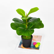Artificial Fiddle Leaf Fig Tree Stems 10 Pcs 12 Inch Faux Greenery Leaves Bulk