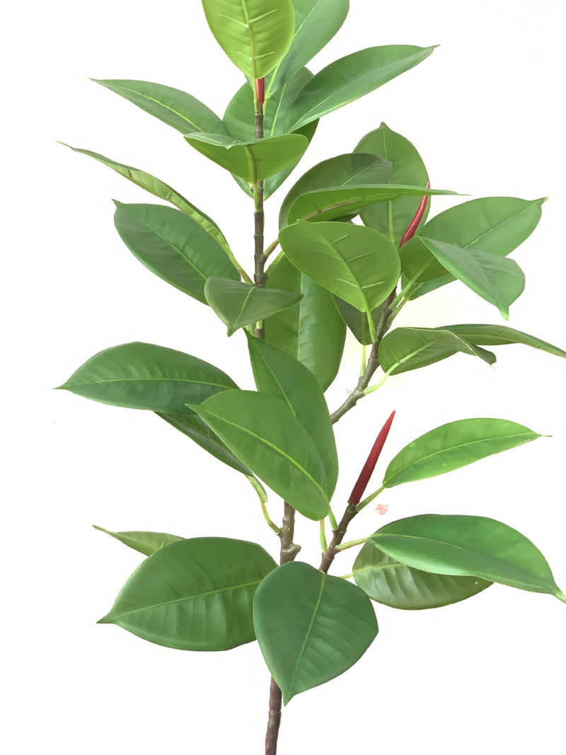 10 Pcs 42 Inch Extra Tall Artificial Ficus Elastica Robusta Moraceae Branch Plum Leaf Green Plant