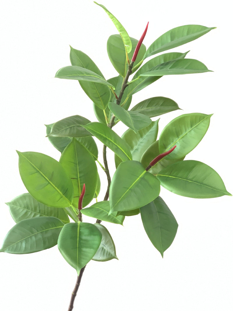 10 Pcs 42 Inch Extra Tall Artificial Ficus Elastica Robusta Moraceae Branch Plum Leaf Green Plant