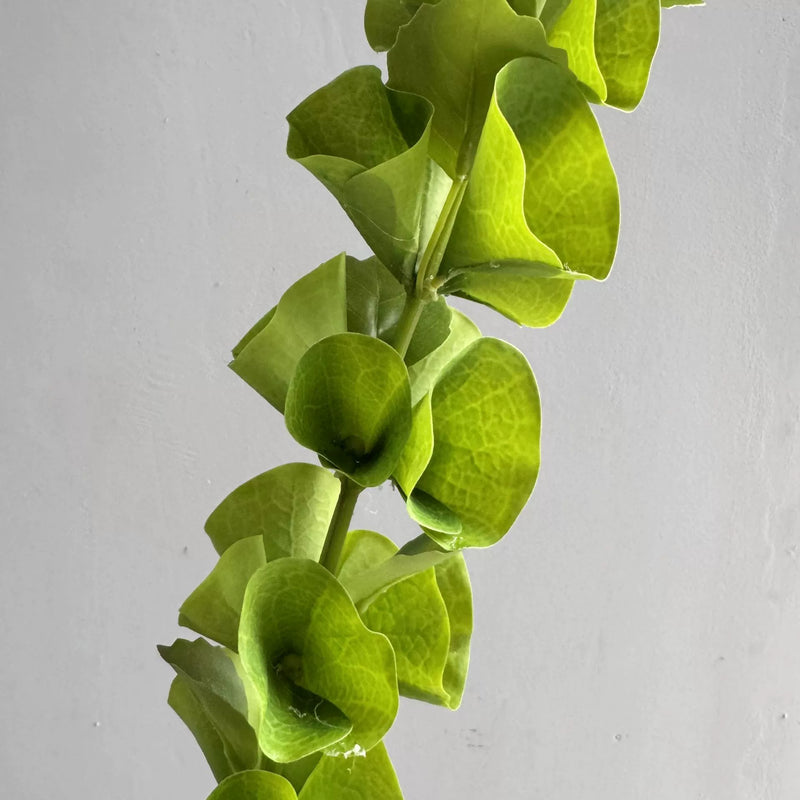 Floral Greenery Stems, Artificial Shell Leaf Eucalyptus, 40" Tall