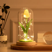 Artificial Tulip Flowers in Glass Dome with LED Light, 6 Inch, Silk