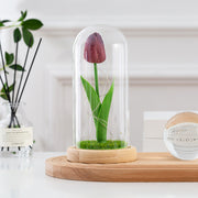 Artificial Tulip Flowers in Glass Dome with LED Light, 6 Inch, Silk