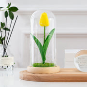 Artificial Tulip Flowers in Glass Dome with LED Light, 6 Inch, Silk