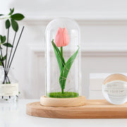 Artificial Tulip Flowers in Glass Dome with LED Light, 6 Inch, Silk