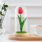 Artificial Tulip Flowers in Glass Dome with LED Light, 6 Inch, Silk