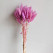 50 Pcs Natural Bunny Tails Dried Flowers, Soft Beige, 4-6 Inch Stems for Wedding, Baby Shower, Boho, Fall Decor