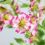 27.5 Inch Artificial Silk Scabious Spray Stems Bulk Floral Branches