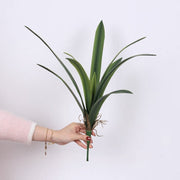 Real Touch Large Greenery Leaves Bush 12 Inch UV Resistant Artificial Spring Plants