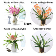 Real Touch Large Greenery Leaves Bush 12 Inch UV Resistant Artificial Spring Plants