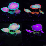 Glowing Coral Fish Tank Ornaments, Artificial Glow Plants for Aquarium, Bulk Quantity