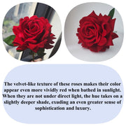 10 Pcs Large Headed Real Touch Velvet Rose Flowers with Stems, Artificial Silk, Bulk Wholesale