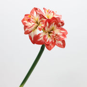 Real Touch Amaryllis Stem Artificial Flower 12 Inch Spring Bloom 1 Pc