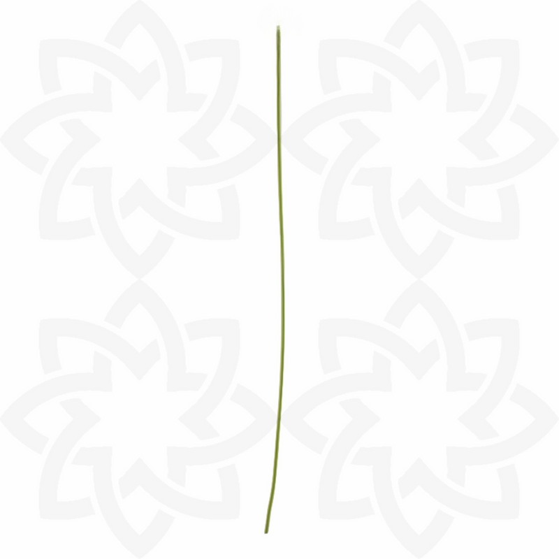 12 Pcs Artificial Grass Stems for DIY Crafts and Flower Arrangements, Green, 12 Inch