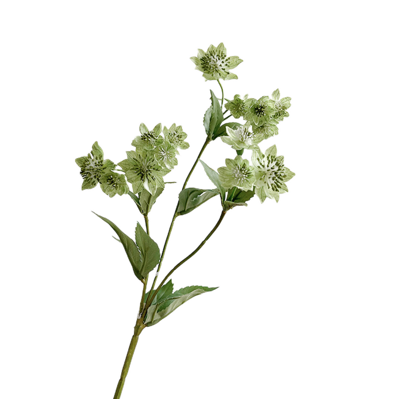 10 Pcs Artificial Silk Great Masterwort Thistle Flowers Bulk Wholesale