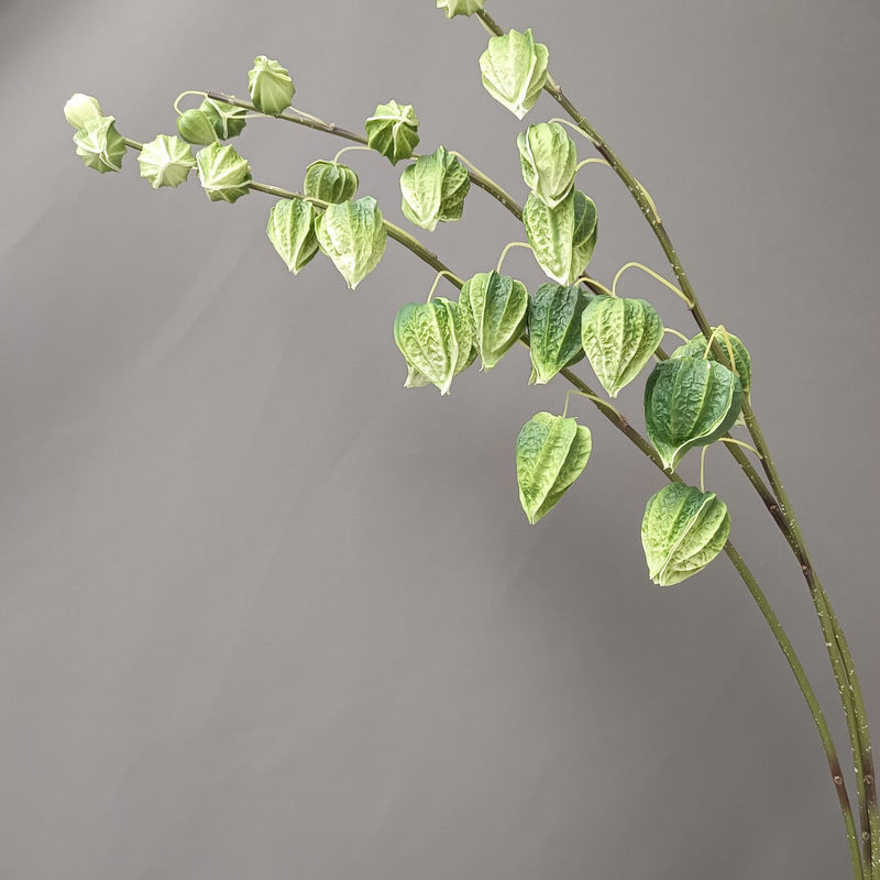 39 Inch Extra Tall Groundberry Cape Gooseberry Artificial Stems Branches Bulk Fall Decor