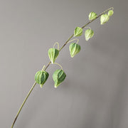 39 Inch Extra Tall Groundberry Cape Gooseberry Artificial Stems Branches Bulk Fall Decor