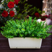 UV Resistant Artificial Boxwood Bush Plants for Outdoor Use – Bulk Quantity