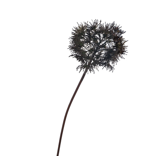 31 Inch Black Artificial Dandelion Stems 10 Pcs Halloween Flower Arrangement Bulk