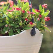 3L Hanging Planters Bulk Set – Durable Plastic Hanging Pots Baskets, Wholesale Quantity