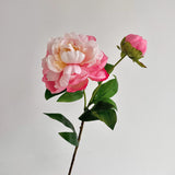 High-Quality 2-Head Pink Peony Artificial Flower - 26.8" Faux Floral Stem for Living Room & Dining Table Decor
