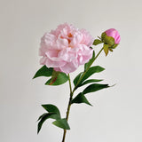 High-Quality 2-Head Pink Peony Artificial Flower - 26.8" Faux Floral Stem for Living Room & Dining Table Decor