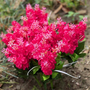 8 Pcs Artificial Hyacinth Bush Flowers UV Resistant Outdoor Silk Plants Bulk