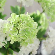 2 Pcs 18.8 Inch Artificial Hydrangea Stems with Fruits Real Touch Silk Flowers