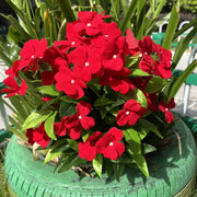 24 Stems Large Artificial Impatiens Bush UV Resistant Outdoor Silk Flowers